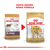 Royal Canin Bulldog Inglés Adulto 12Kg - Casper Pet Store