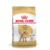 Royal Canin Caniche Adulto 7.5Kg