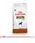 Royal Canin Gastrointestinal Moderate Calorie Perro 10Kg