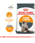 Royal Canin Hair and Skin Care Gato 2Kg - comprar online