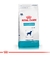 Royal Canin Hypoallergenic Dog 2Kg