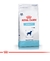 Royal Canin Mobility Support Perro 2Kg