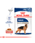 Royal Canin Pouch Maxi Adulto