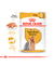 Royal Canin Pouch Yorkshire Adulto