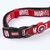 Vital Fun Collar Premium Perro XS/S MV Verano - Casper Pet Store