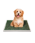 Paño Pet Outdoor Carpet Mini - Bandeja Sanitaria en internet