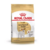 Royal Canin Jack Russell Adulto 3Kg