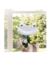 Juego Froggo Cat Toy en internet