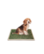 Paño Pet Carpet Mini - Bandeja Sanitaria en internet