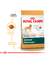 Royal Canin Golden Retriever Adulto 12Kg - comprar online