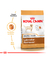 Royal Canin Labrador Retriever Adulto 12Kg - comprar online