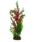 Plantas Decorativas para Peceras - Plant Scapes - FLUVAL RED LUDWIGIA/DWARF MIX