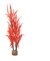 Plantas Decorativas para Peceras - Plant Scapes - Red Intense