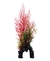 Plantas Decorativas para Peceras - Plant Scapes - FLUVAL WISTERIA ROJA