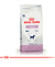 Royal Canin Calm Perro 2Kg