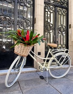 Bicicleta Pola con canasto - comprar online