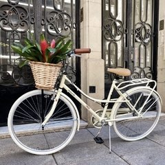 Bicicleta Pola con canasto