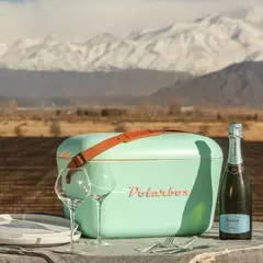 Conservadora retro Polarbox Verde Agua - con asa Marrón 20 lts - comprar online