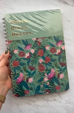 cuaderno fera