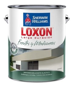 Loxon Larga Duración Frentes Y Medianeras Colores X 20 Lts