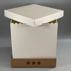 MINI PACK x 2 u BIG BOX 25 TAPA SIMPLE CARTULINA BLANCA (35x35x25 cm) - comprar online