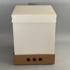 MINI PACK x 2 u DRIP BOX 32 TAPA SIMPLE CARTULINA BLANCA (25x25x32 cm) - wincopack