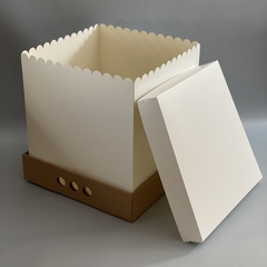 MINI PACK x 2 u MID BOX 25 TAPA SIMPLE CARTULINA BLANCA (30x30x25 cm) - wincopack