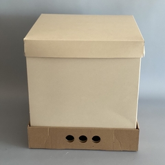 MINI PACK x 2 u MID BOX 32 CLASS, TAPA CLASS (30x30x32 cm) Nuevas! color natural - comprar online