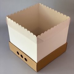 MINI PACK x 2 u DRIP BOX 25 (25x25x25 cm) - Nuevo ! - wincopack