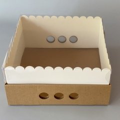 MINI PACK x 2 u DRIP BOX 12 (25x25x12 cm) - wincopack