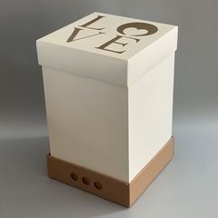 MINI PACK x 2 u DRIP BOX 40 TAPA CARTULINA VISOR LOVE (25x25x40 cm) - comprar online