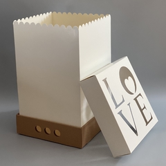 MINI PACK x 2 u DRIP BOX 40 TAPA CARTULINA VISOR LOVE (25x25x40 cm)