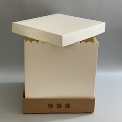 MINI PACK x 2 u BIG BOX 40 TAPA SIMPLE CARTULINA BLANCA (35x35x40 cm) - wincopack