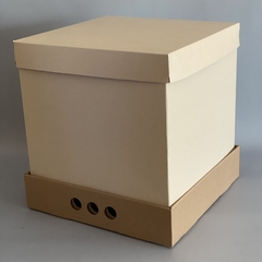 MINI PACK x 2 u MID BOX 40 CLASS (30x30x40 cm) Nueva! Color natural con tapa Class - comprar online