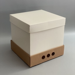 MINI PACK x 2 u DRIP BOX 25 TAPA SIMPLE CARTULINA BLANCA (25x25x25 cm)