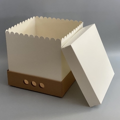MINI PACK x 2 u DRIP BOX 25 TAPA SIMPLE CARTULINA BLANCA (25x25x25 cm) - comprar online