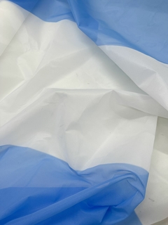 Bandera Argentina 0,60 Ancho - Poliamida - comprar online