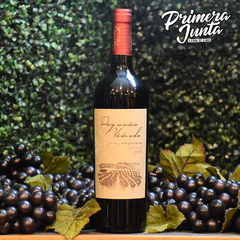 Pequeño Viñedo Malbec