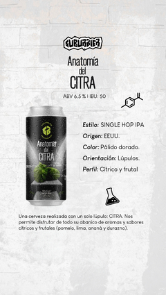 IPA SINGLE HOP CITRA - ANATOMÍA DEL CITRA - comprar online