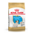 ROYAL CANIN JACK RUSSELL CACHORRO