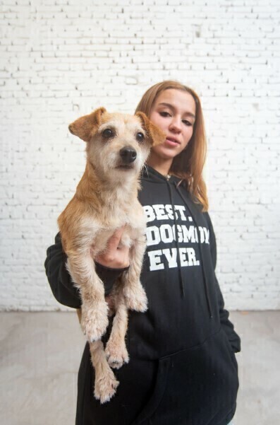 Best dog stores top