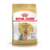 ROYAL CANIN YORKSHIRE ADULTO