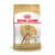 ROYAL CANIN CANICHE ADULTO