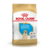 ROYAL CANIN LABRADOR CACHORRO