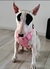 ARNES ROCKY ROSA - Wow! Boutique de Mascotas