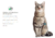 KATZE GATO LIGHT - comprar online