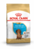 ROYAL CANIN SALCHICHA CACHORRO