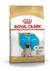 ROYAL CANIN PUG CACHORRO