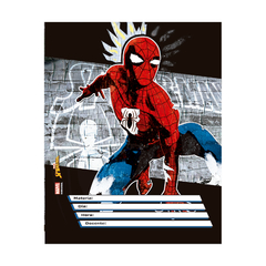 SEPARADOR DE MATERIA N.3 SPIDERMAN "MOOVING" - online store