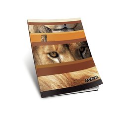 CUADERNO AMERICA T/F 24H. - comprar online